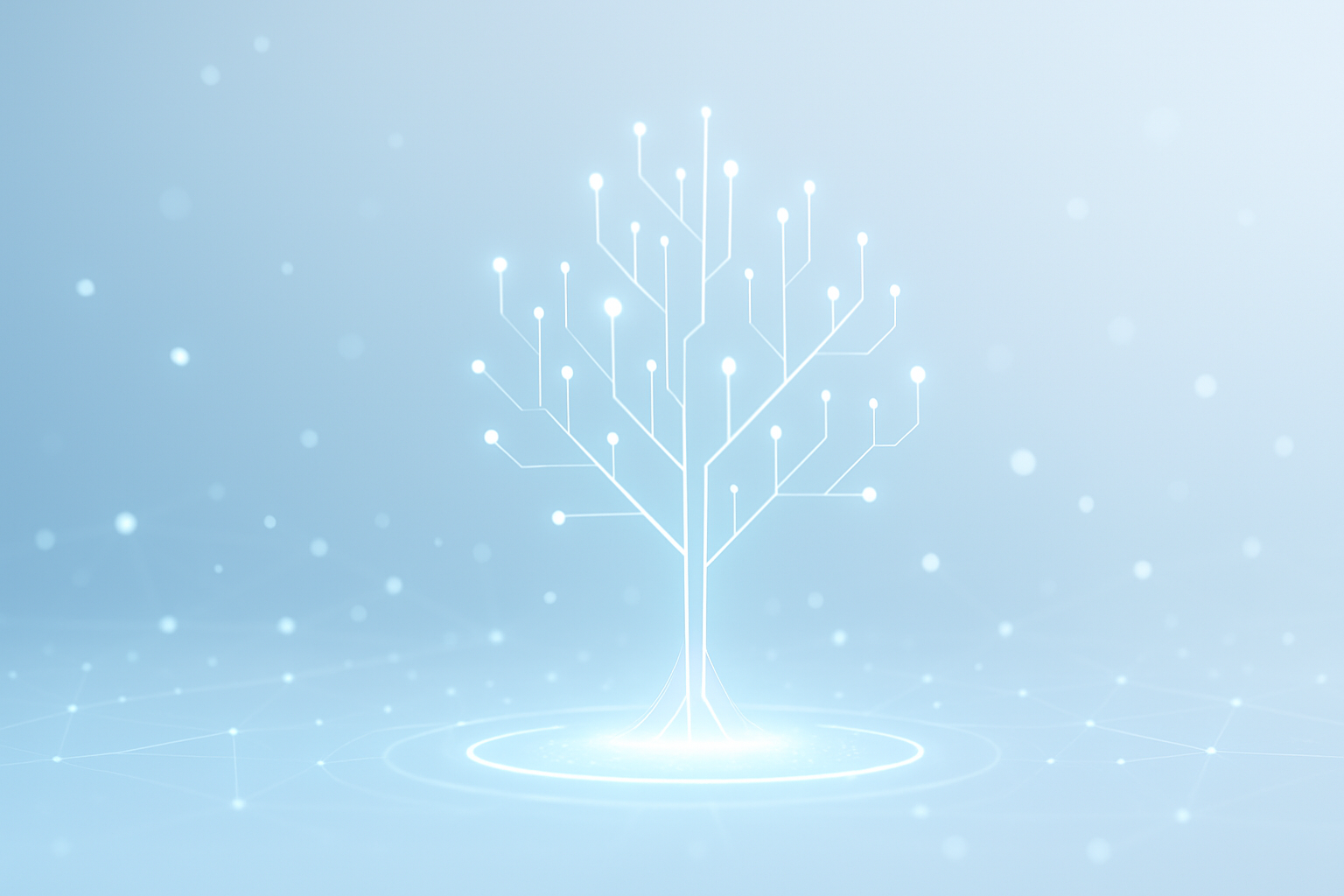 Sustainable Digital Empowerment